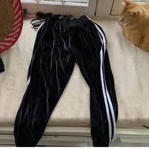 velvet sweatpants